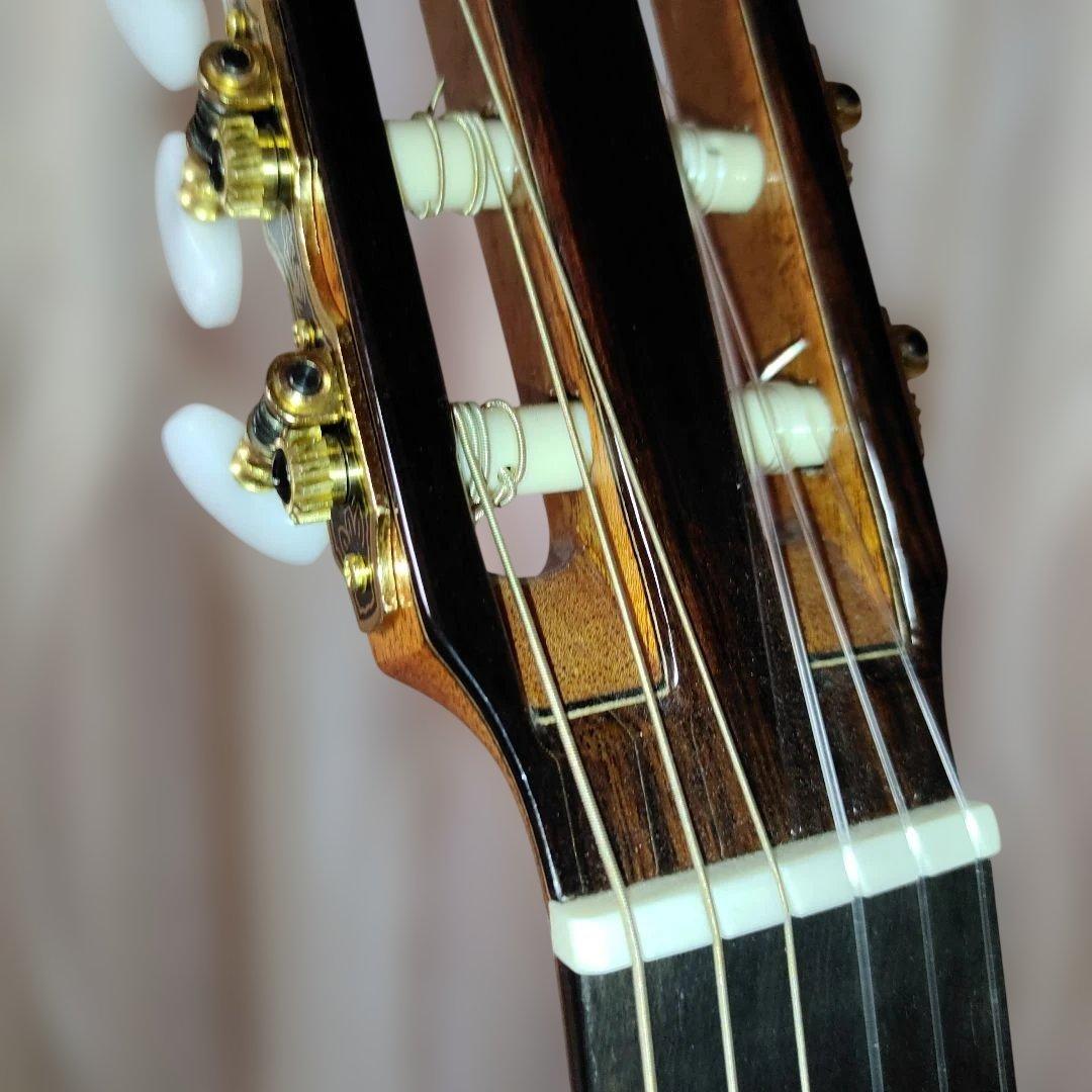 Aria A-50C-63 アコースティックギター