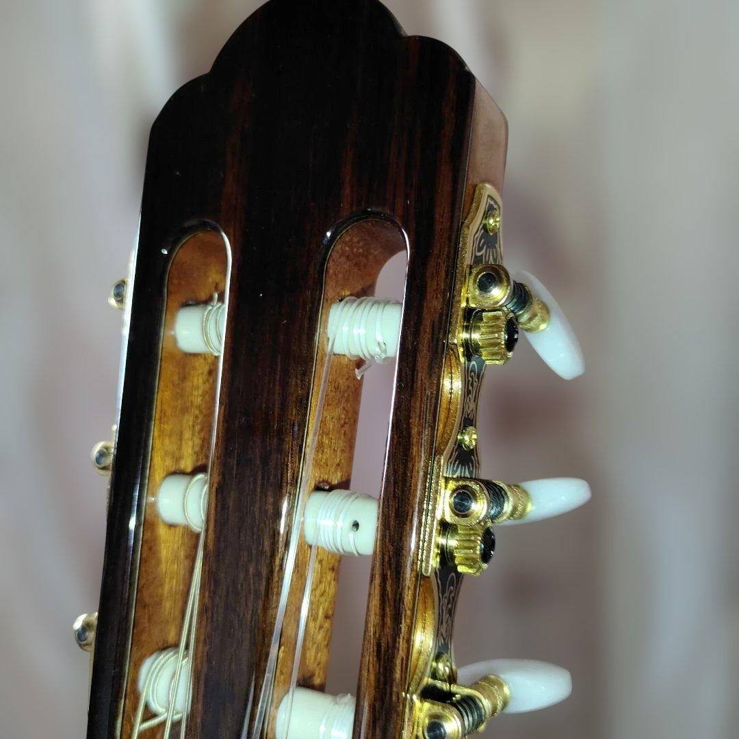 Aria A-50C-63 アコースティックギター