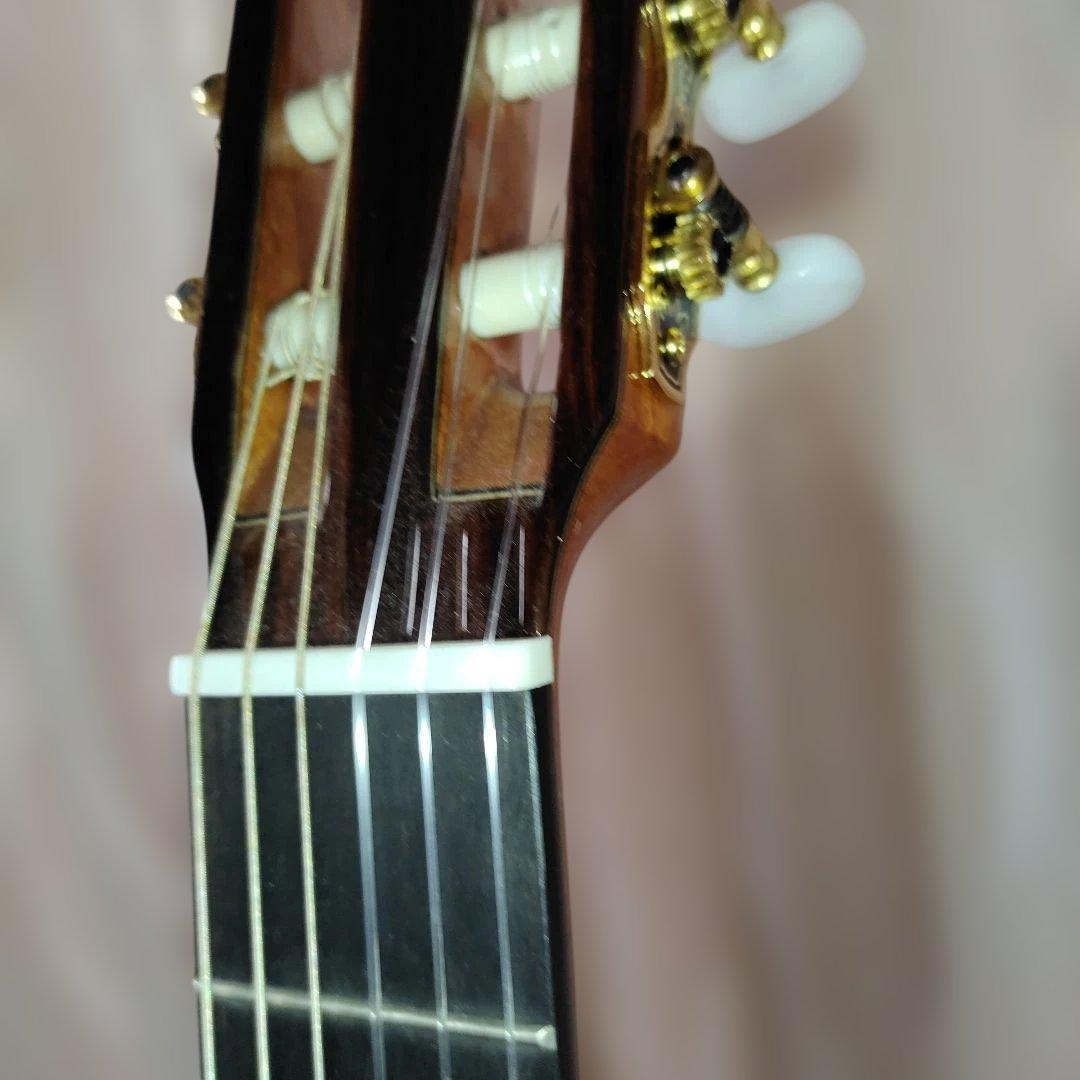 Aria A-50C-63 アコースティックギター