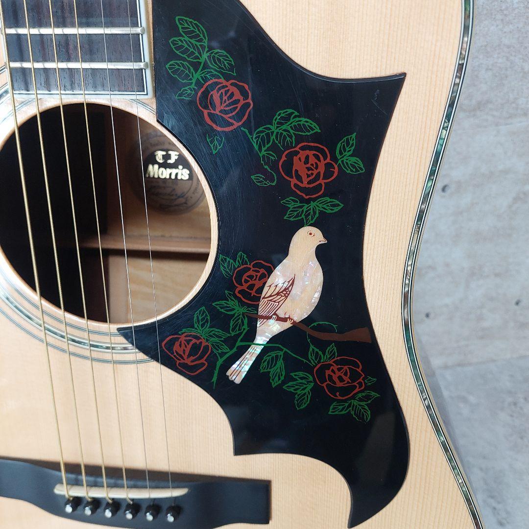 【希少】 Morris TF W-60 ハカランダ Gibson DOVEモデル