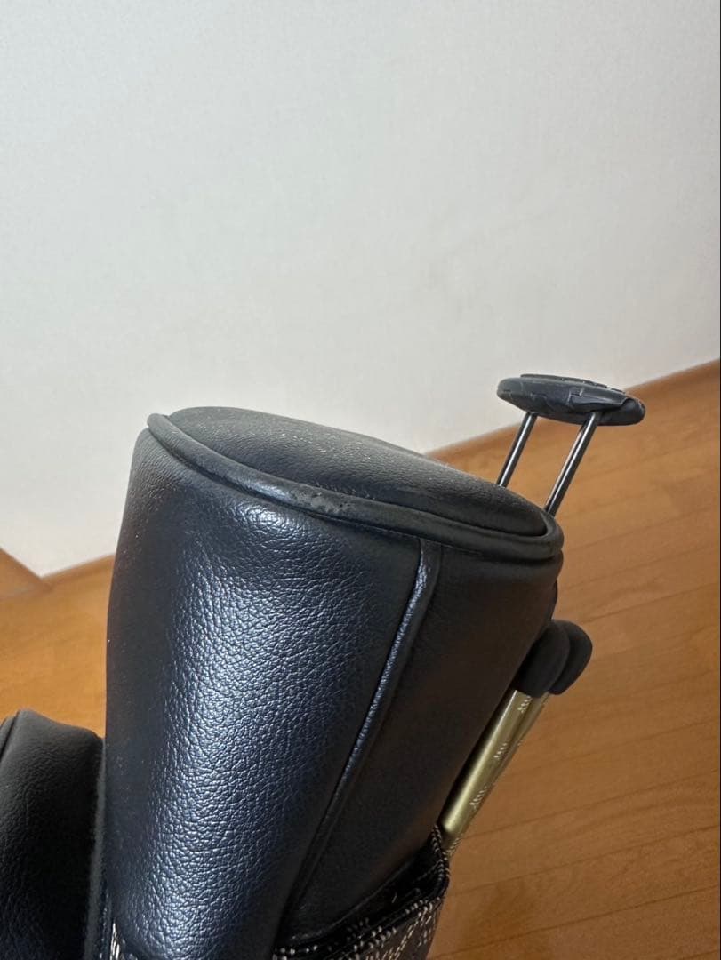 レザレクション　セルフスタンドバック
