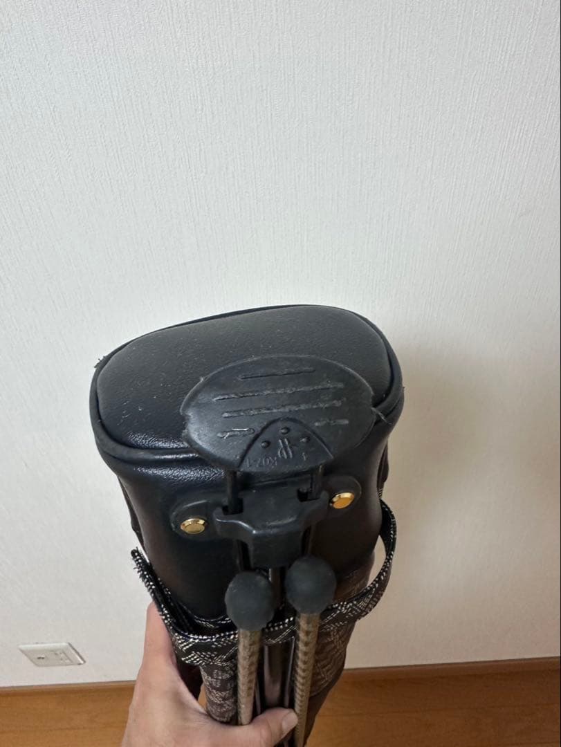 レザレクション　セルフスタンドバック