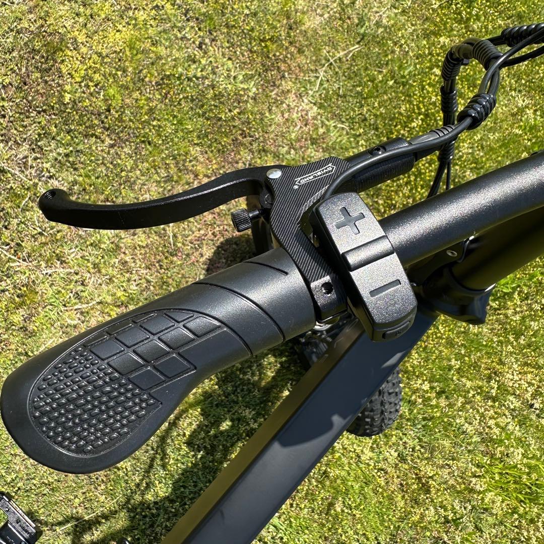 【美品】MOVE XS（20インチ・太いタイヤ・e-bike・Mate系）