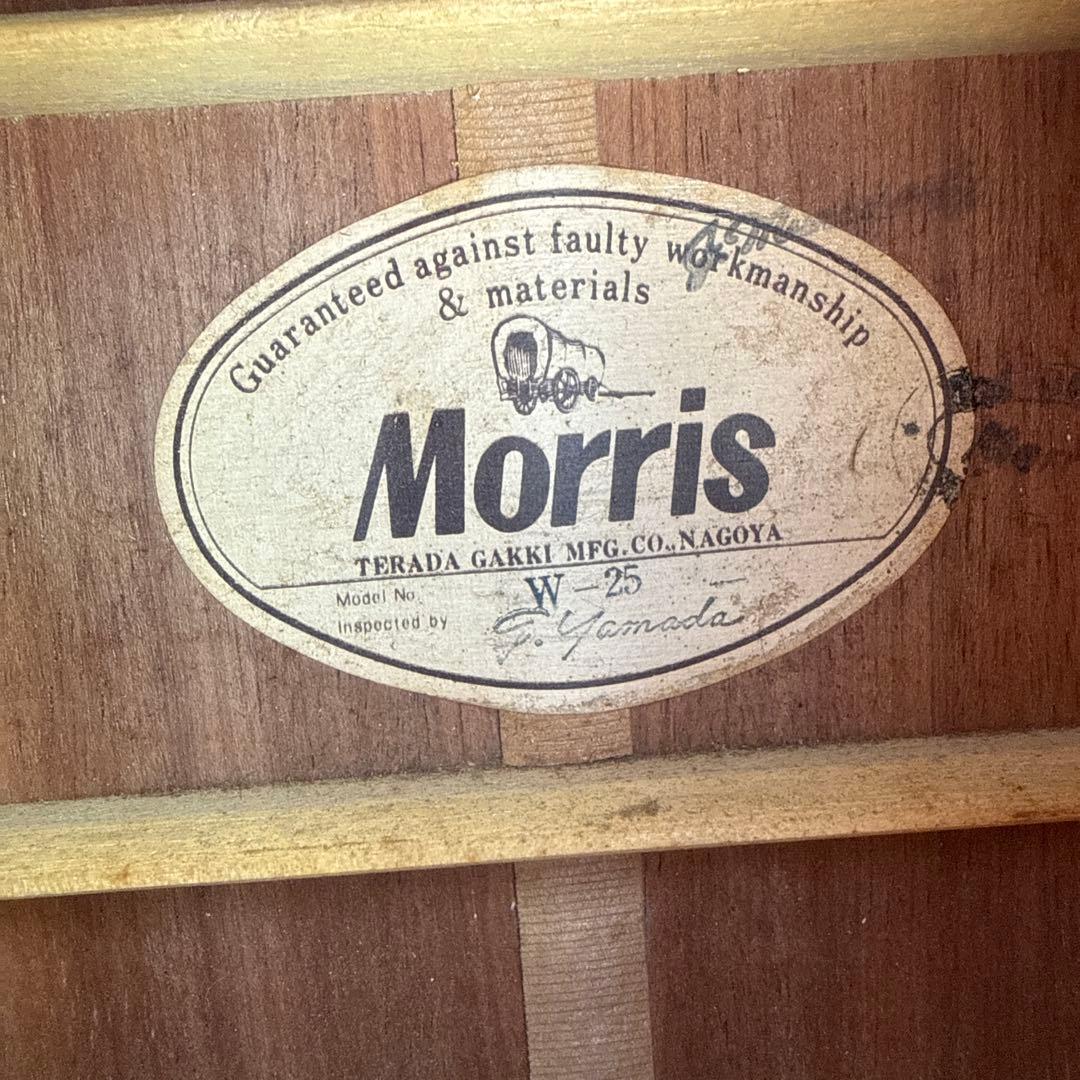 アコースティックギター morris w-25