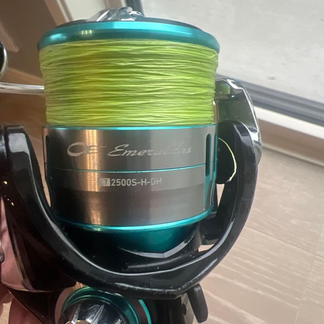 M*)様 ダイワ(DAIWA) スピニングリール 19 エメラルダス LT