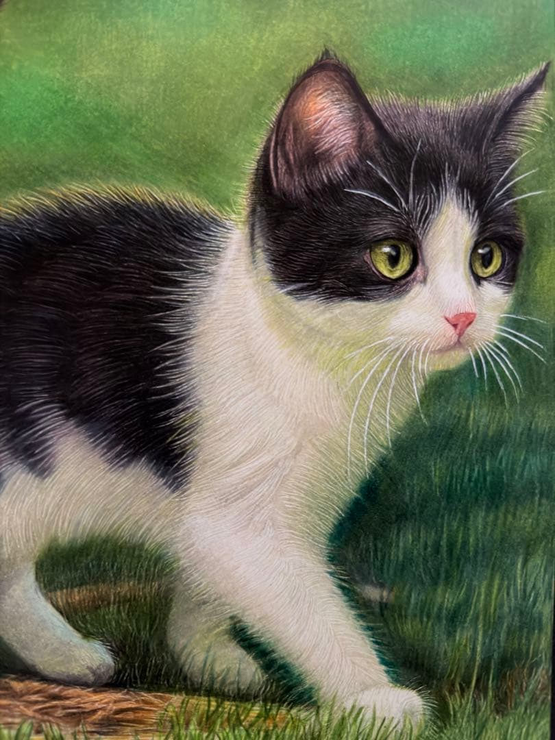 色鉛筆画A4小さな冒険仔猫