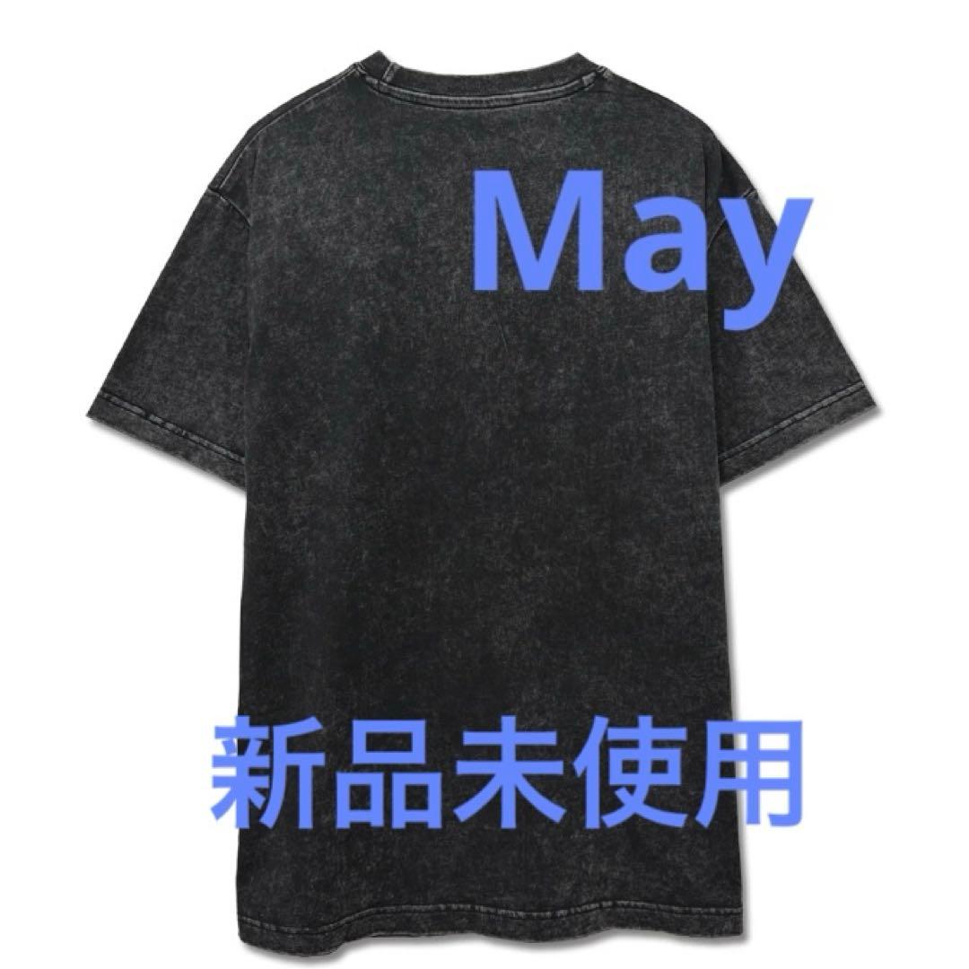 SKY-HI ビンテージRAPTee Tシャツ Mサイズ
