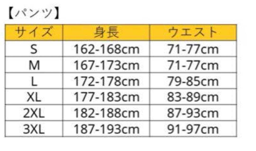 ベガルタ仙台 adidas アディダス 2023公式ウォームアップハーフパンツ