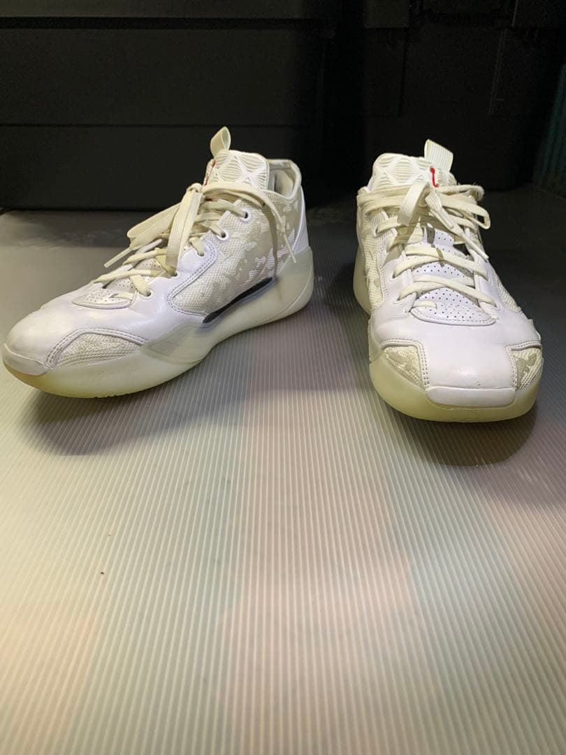 美品 AIR JORDAN TYPE 39 エアージョーダン 28cm ホワイト