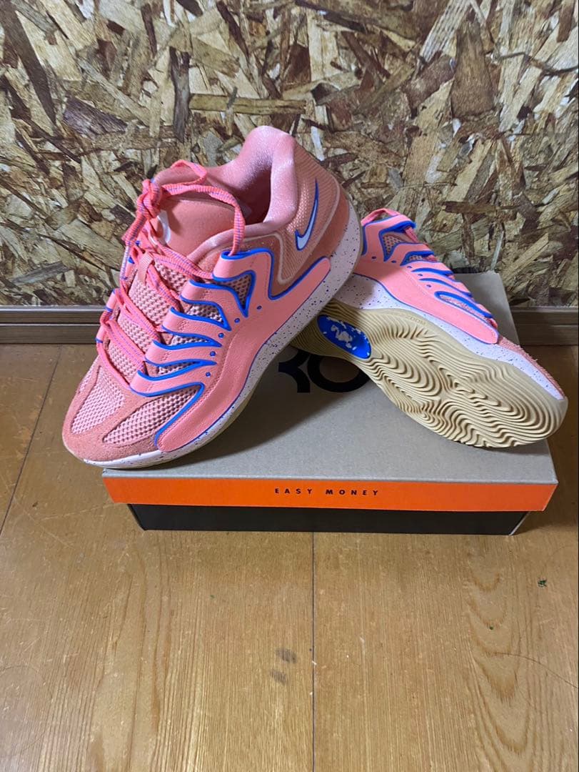 シューズ(男性用) NIKE KD 18 EP