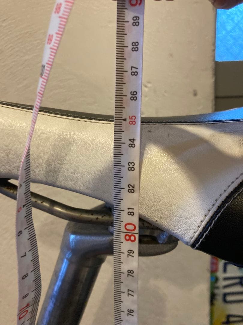 LOUIS GARNEAU 24インチメンテナンス済み 引取限定神奈川県カゴあり