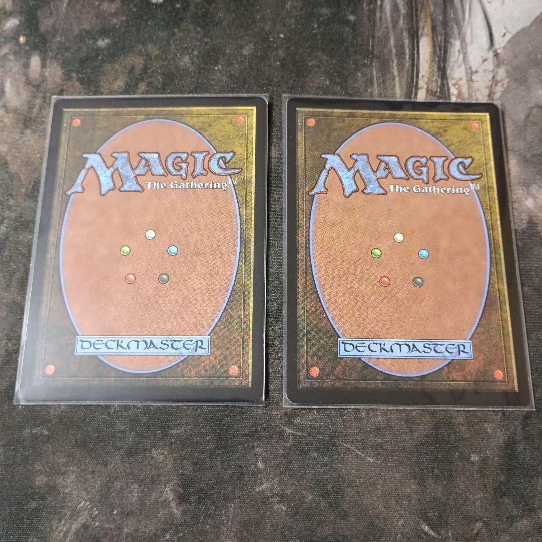 mtg　沸騰する小湖　タルキールSPG版　 日本語　2枚セット