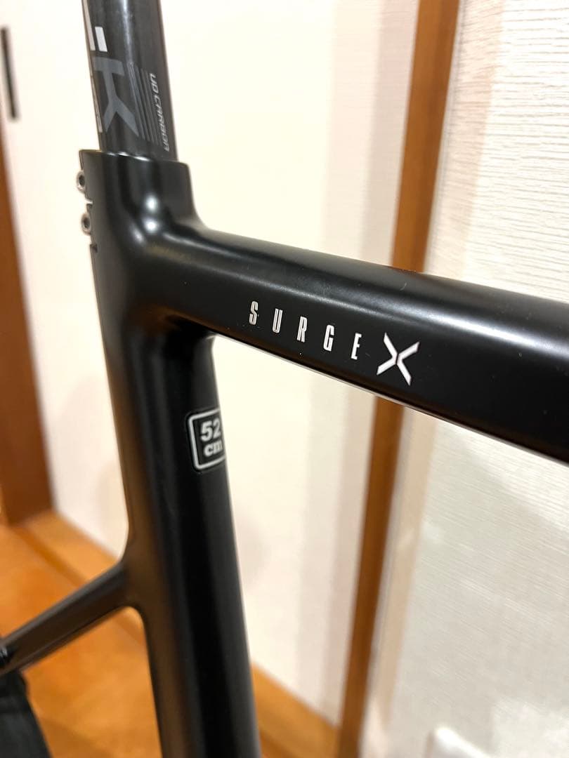 限定値下 極美品 ターン TERN SURGE X ダホン TREK GIANT