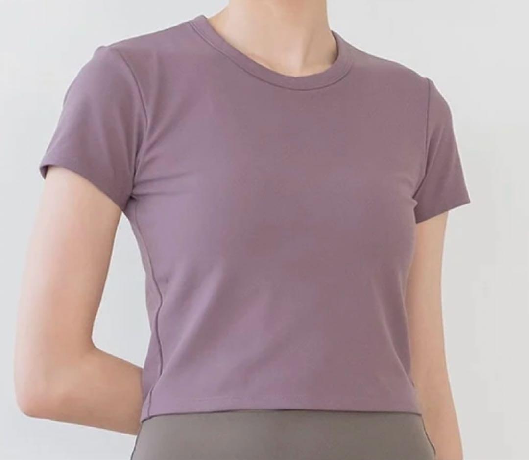 SUKALA LAVAリントスル カップ付きクロップドTee ボルドー Sサイズ