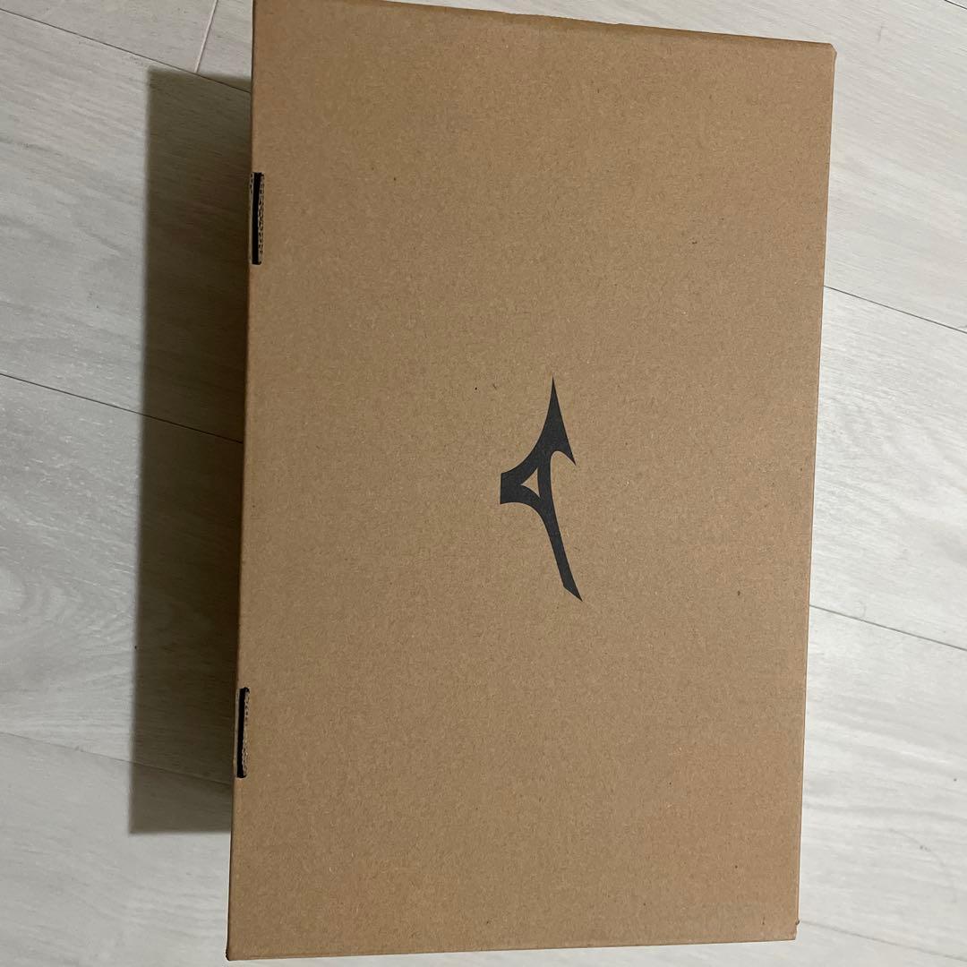 Mizuno ワーキングシューズ FreeRoadLS II 25.0cm 新品