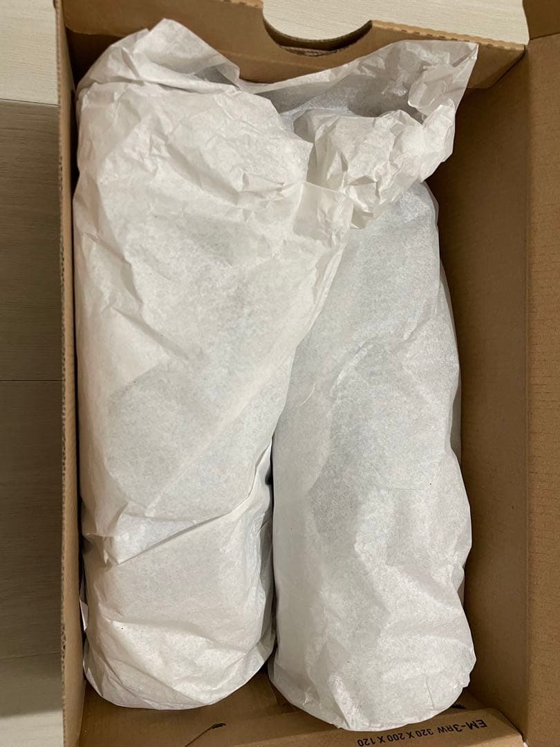 Mizuno ワーキングシューズ FreeRoadLS II 25.0cm 新品