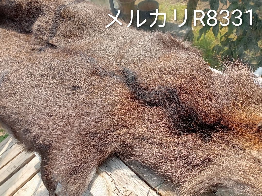 天然日本鹿の毛皮　ラグ