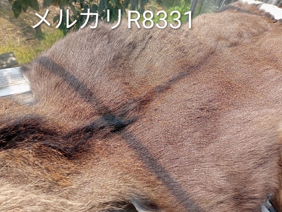 天然日本鹿の毛皮　ラグ