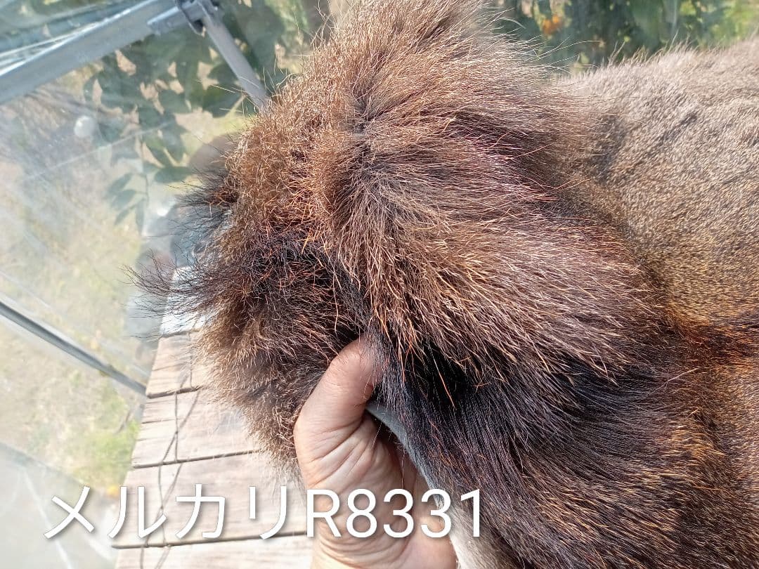 天然日本鹿の毛皮　ラグ