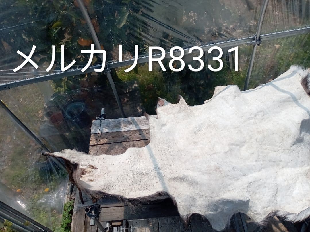 天然日本鹿の毛皮　ラグ