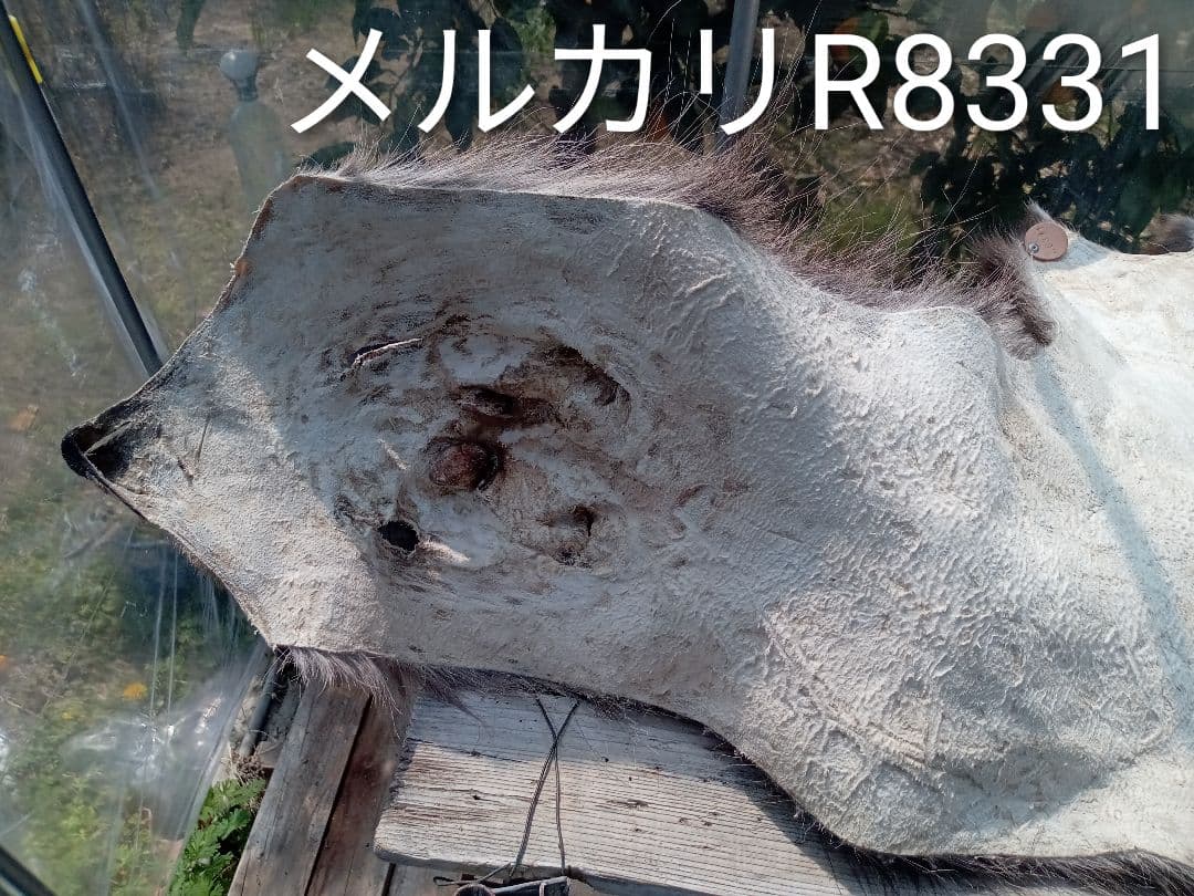 天然日本鹿の毛皮　ラグ