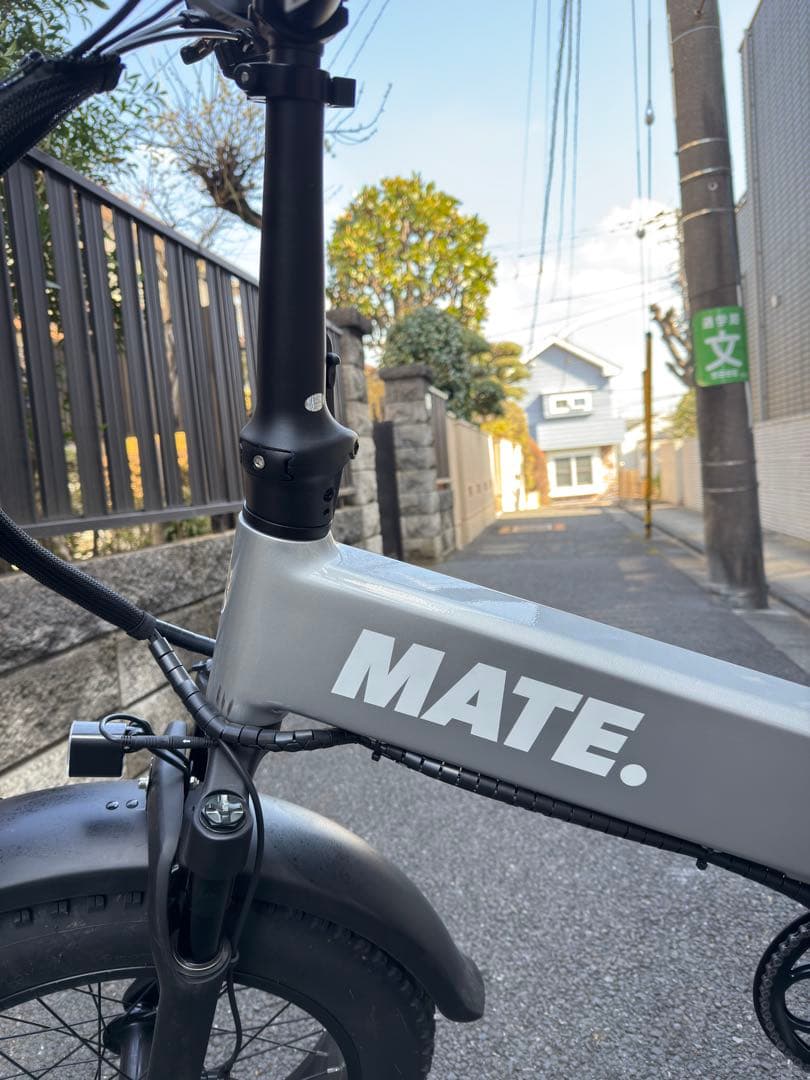 MATE X EVO 電動アシスト自転車 シルバー