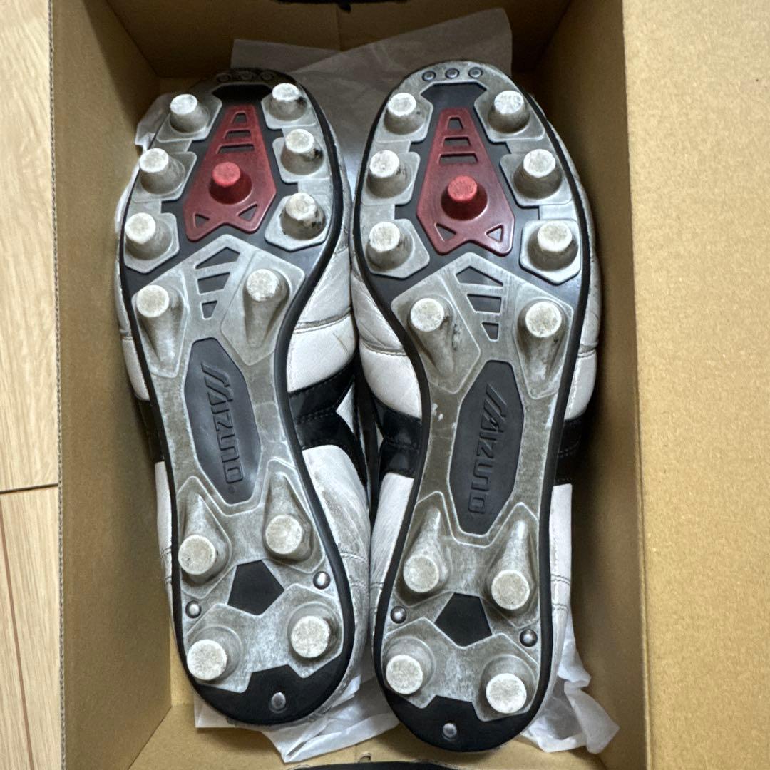 モレリア2Japan クロスステッチ26cm