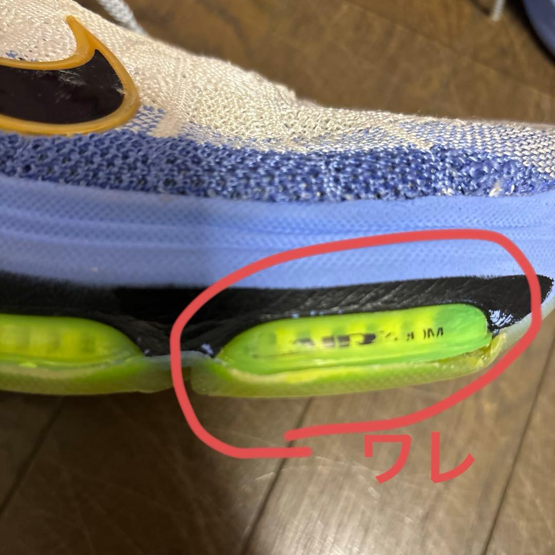 バッシュNIKE 30cm GTハッスルとルカⅡ 2足セット