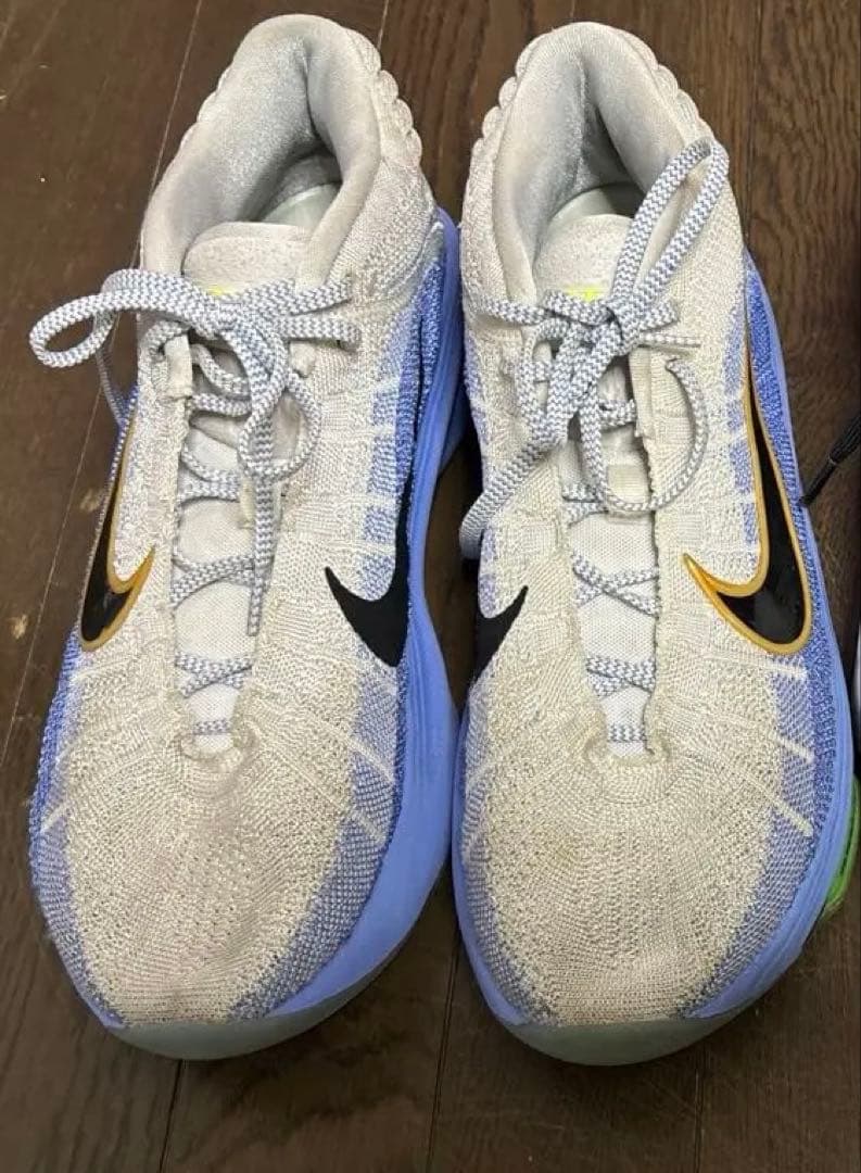 バッシュNIKE 30cm GTハッスルとルカⅡ 2足セット