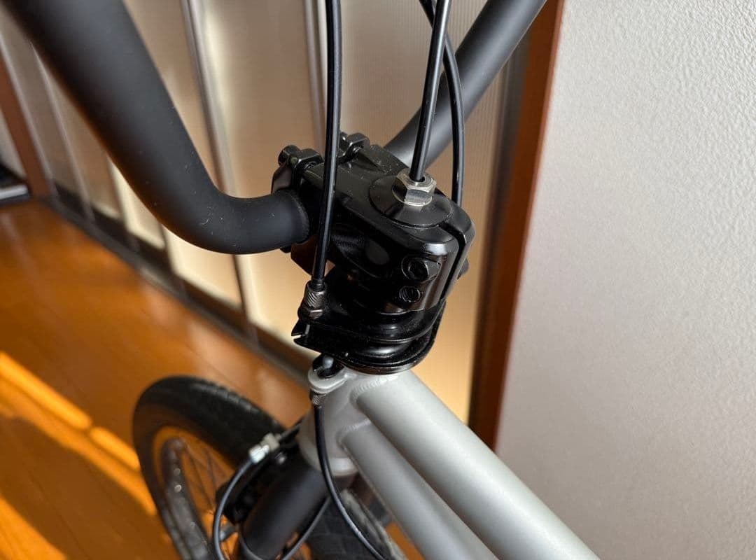 BMX　アーレスバイク　20インチ　フラットランド