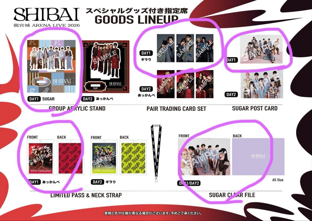 龍宮城ARENALIVESHIBAI スペシャルグッズセット ピクチケ