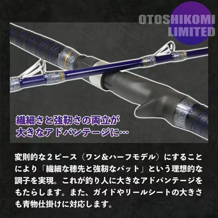 期間限定特価 落とし込みリミテッド 220 ピュアテック 船竿 泳がせ