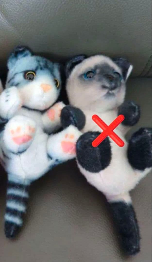 猫つまんでマスコットBC　猫　ぬいぐるみ　猫つまんで　マスコット　リアルアニマル
