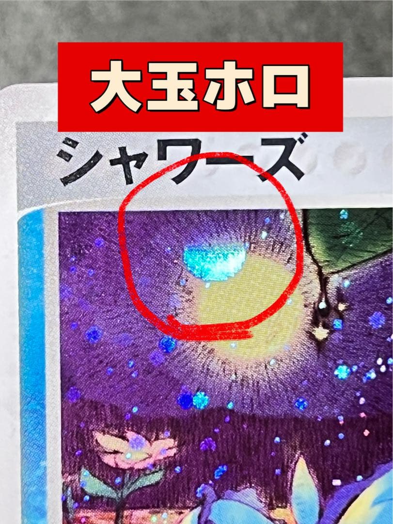 【シャワーズ 】【1ed】【状態A】 ★拡張パックマグマVSアクア ふたつの野望