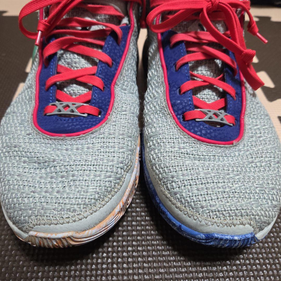 NIKE Lebron20 ナイキ レブロン 20 27cm