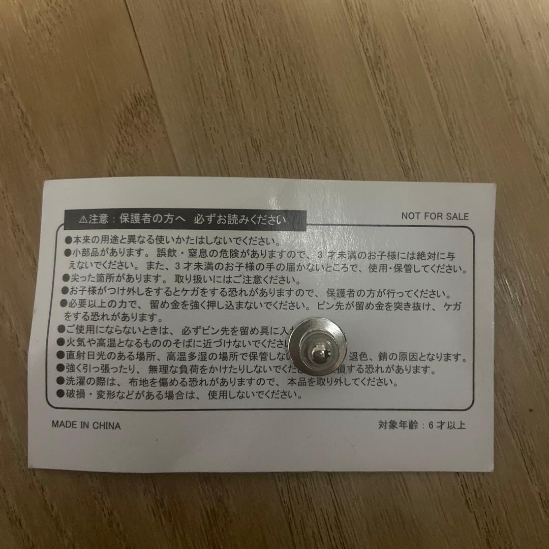 【期間限定出品】激レア！大阪関西万博　EXPO Protocolピンバッジ