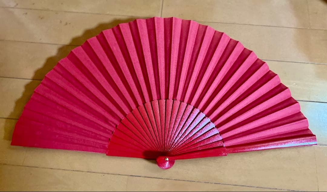 【新品】アバニコ 27cm ペリコンよりコンパクトサイズ！　赤・スペイン製