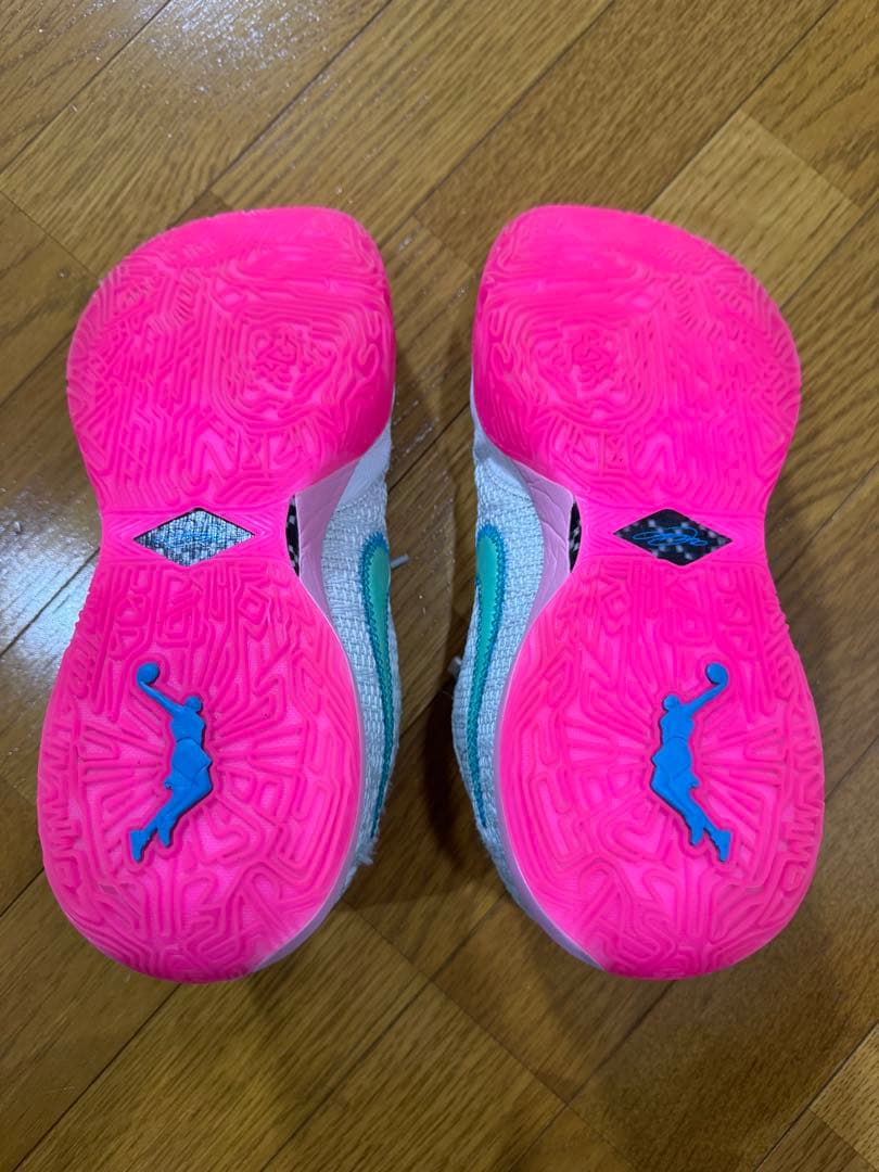Nike バスケットボールシューズ レブロン20タイムマシン　27.5