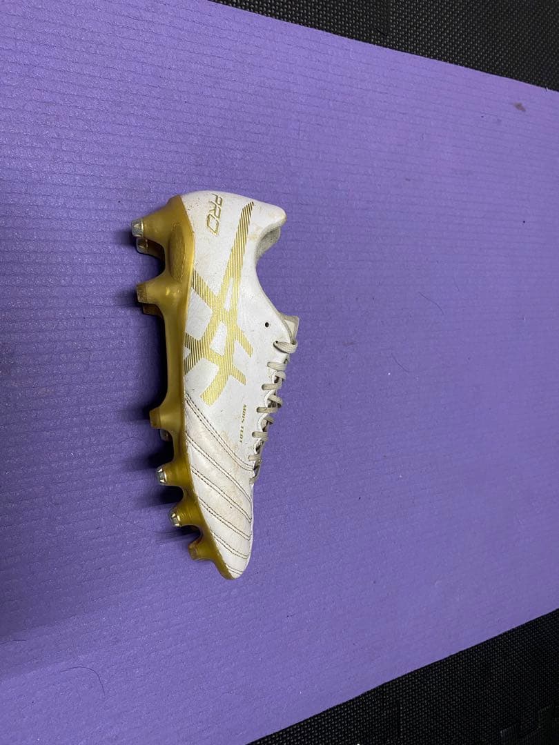 DS ライト　sg