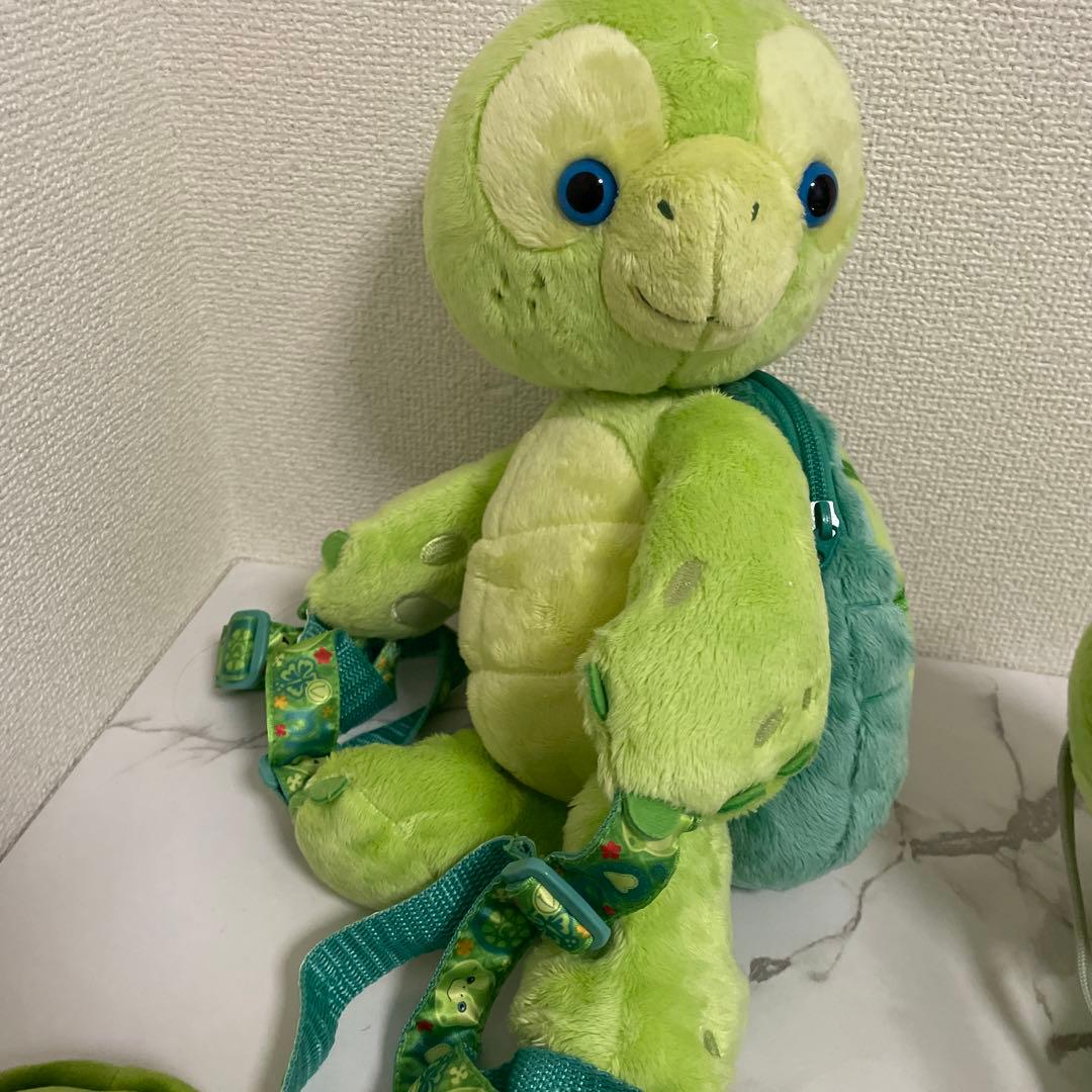 オルメルセット、その他亀