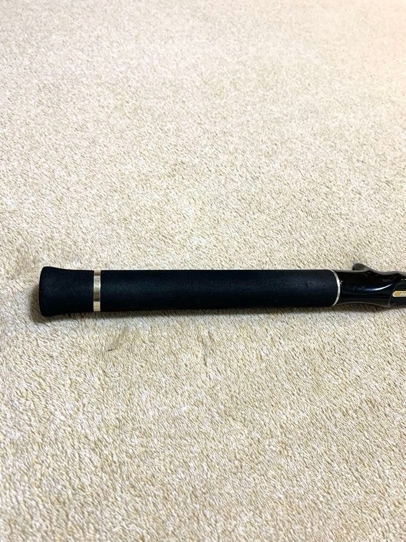 エバーグリーンThe Airregius HCSC-66ML