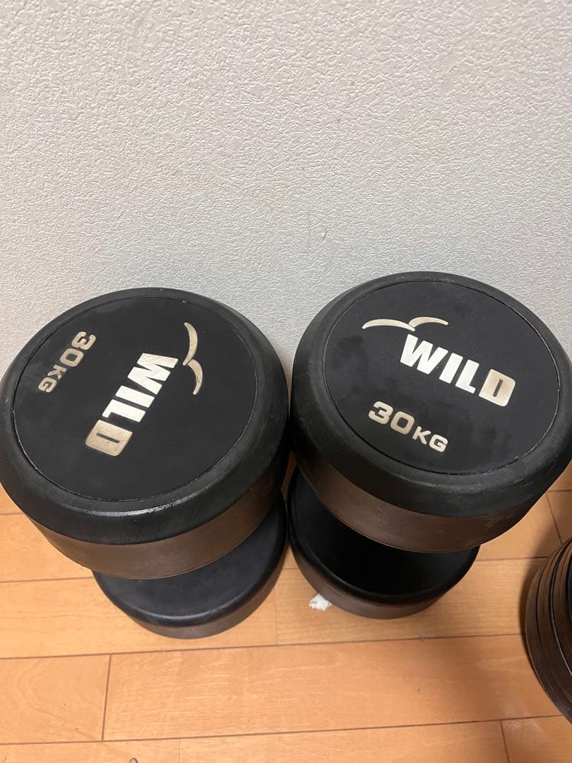WILD 30kg ダンベル 中古品