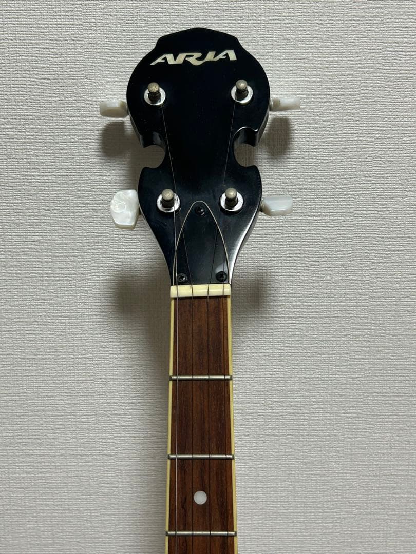 Aria 5弦バンジョー SB-100