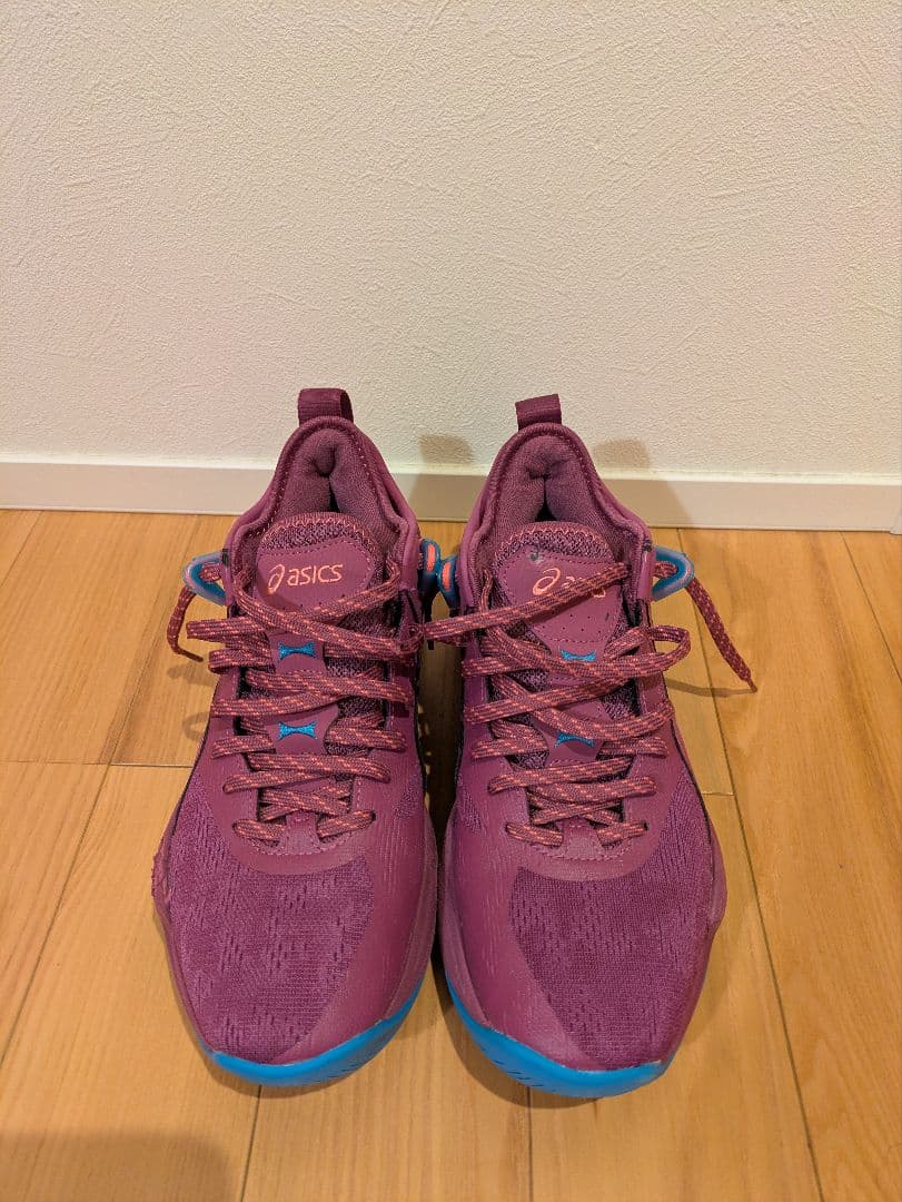 アシックス　nova surge low2　(ノヴァサージロー2)　26.0cm