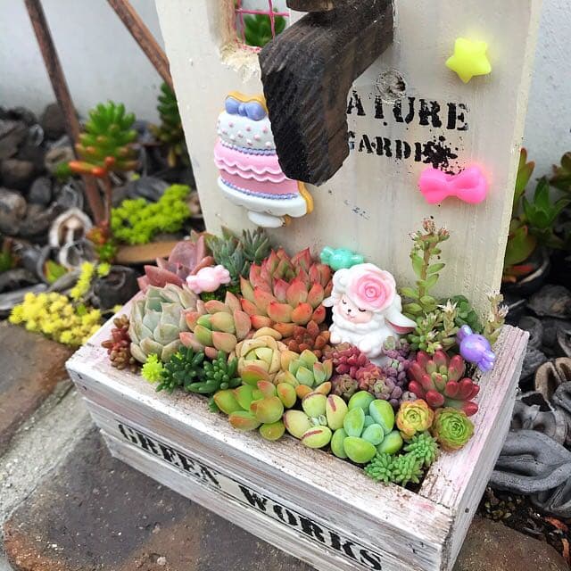 ★多肉植物　寄せ植え〜手作り木製HOUSE ピンク〜★