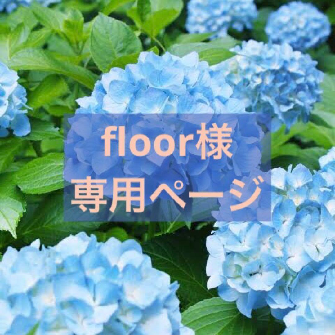 色鉛筆画　floorページ