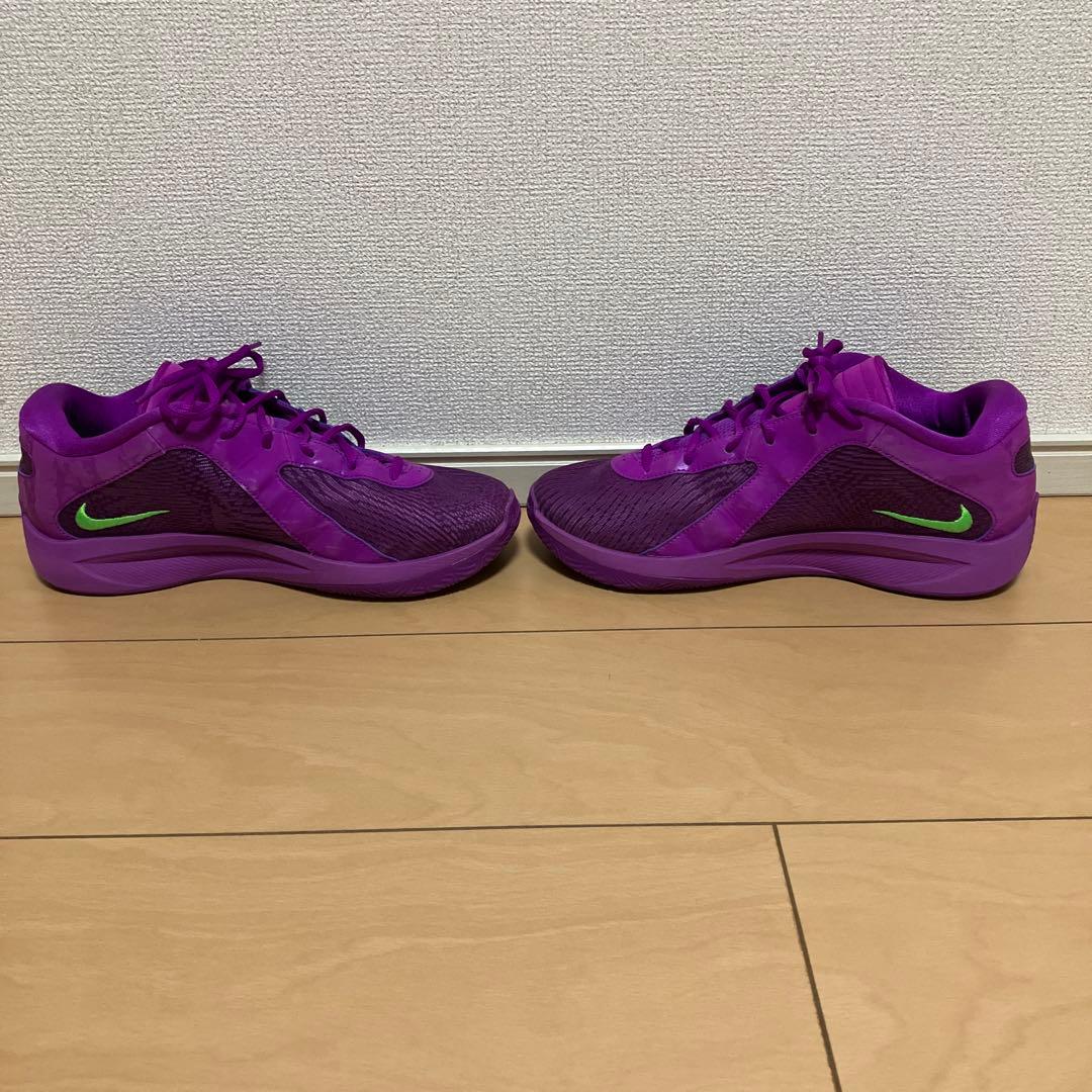 Nike ヤニス フリーク6 EP 紫/緑