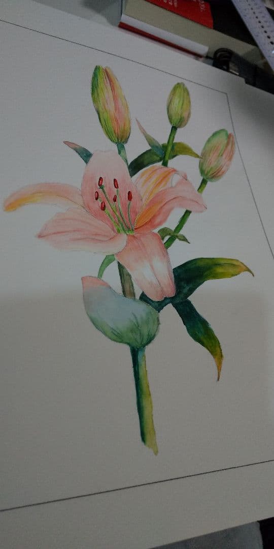 百合(水彩画)
