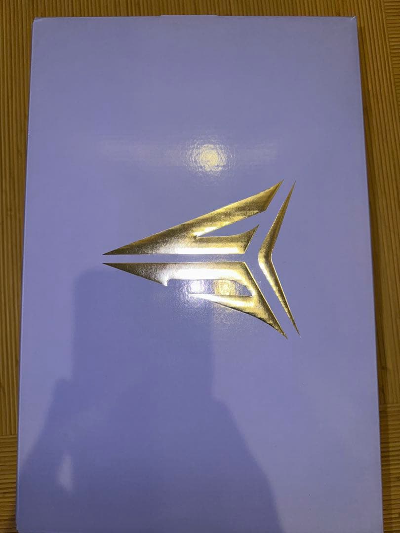 NIKE ja3 All STAR ナイキ　ジャ3EP