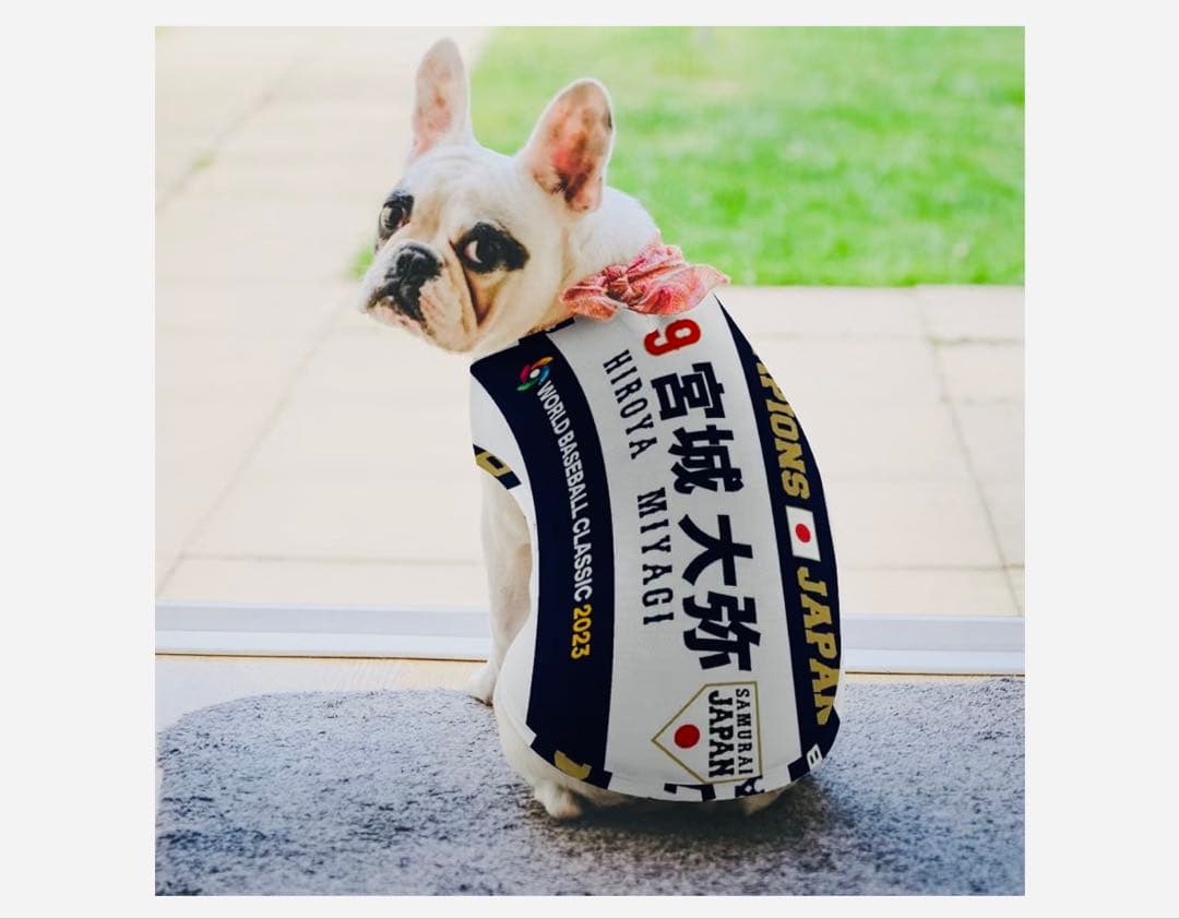 新品2025受注選手名入りドックシャツ13宮城大弥